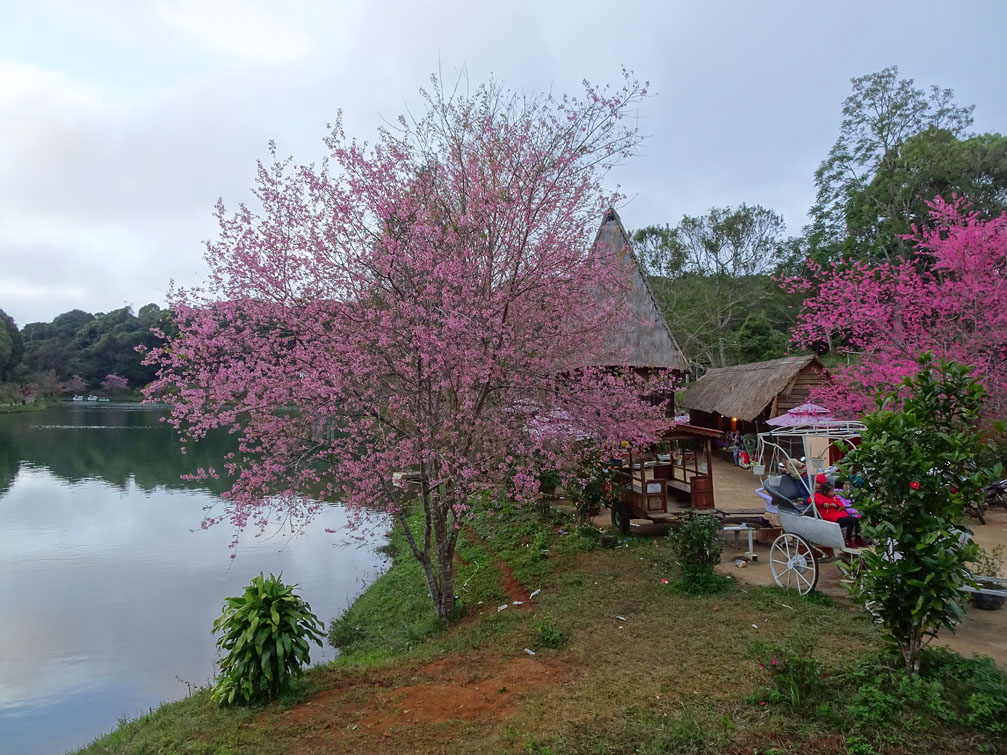 Khám Phá Vẻ Đẹp Bình Yên Của Hồ Đắk Ke