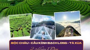 MỘC CHÂU - CẦU KÍNH BẠCH LONG - TÀ XÙA 2N1Đ | CAO NGUYÊN MỘC CHÂU- SĂN MÂY TÀ XÙA