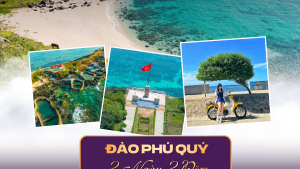 ĐẢO PHÚ QUÝ 2N2Đ